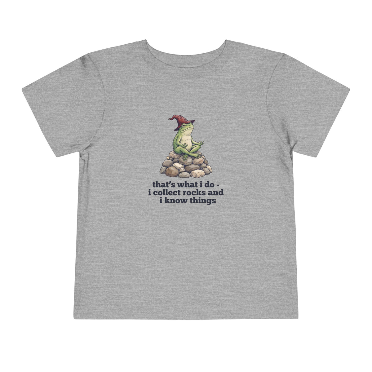 I Collect Rocks and I Know Things Toddler T-Shirt