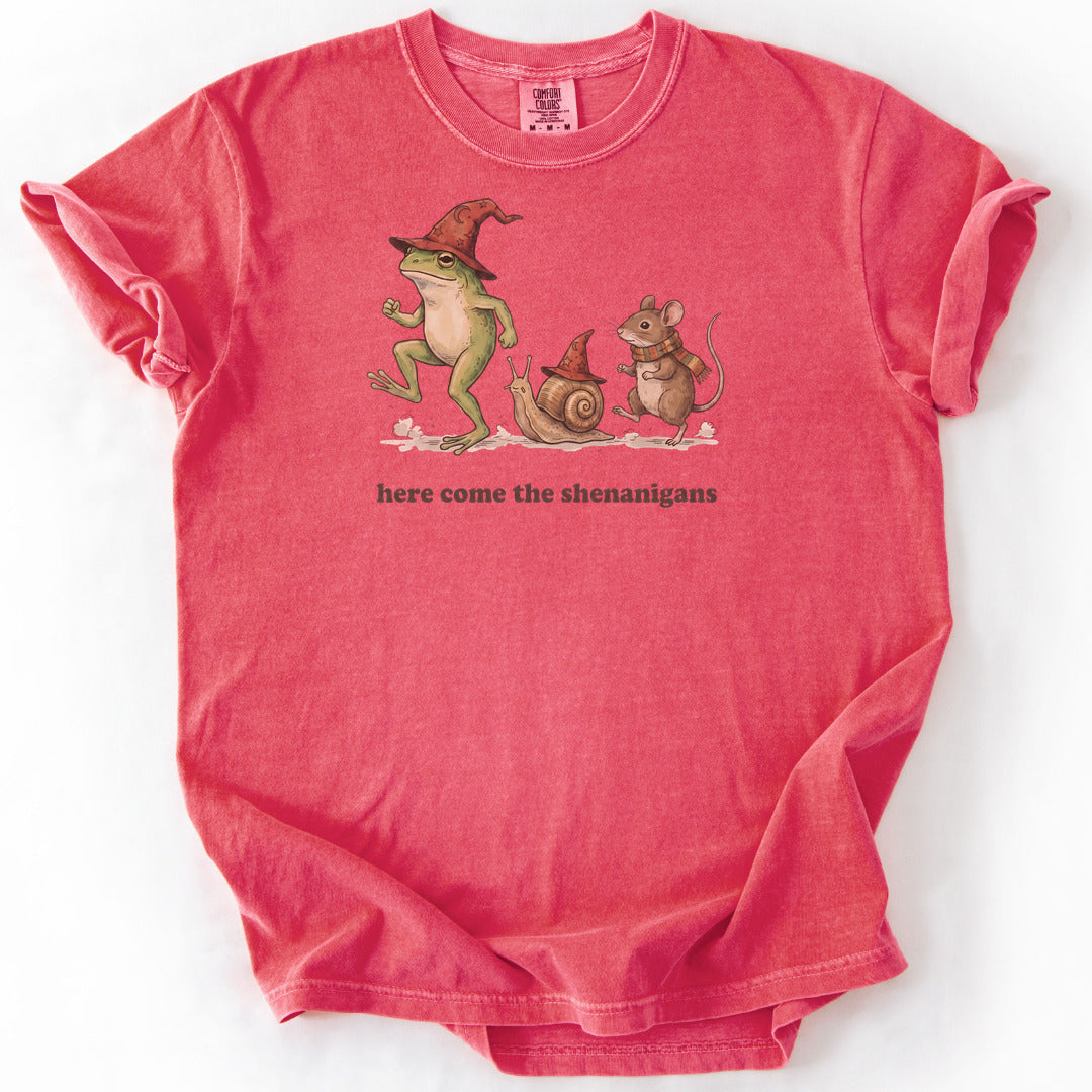 Here Come the Shenanigans Premium - Watermelon