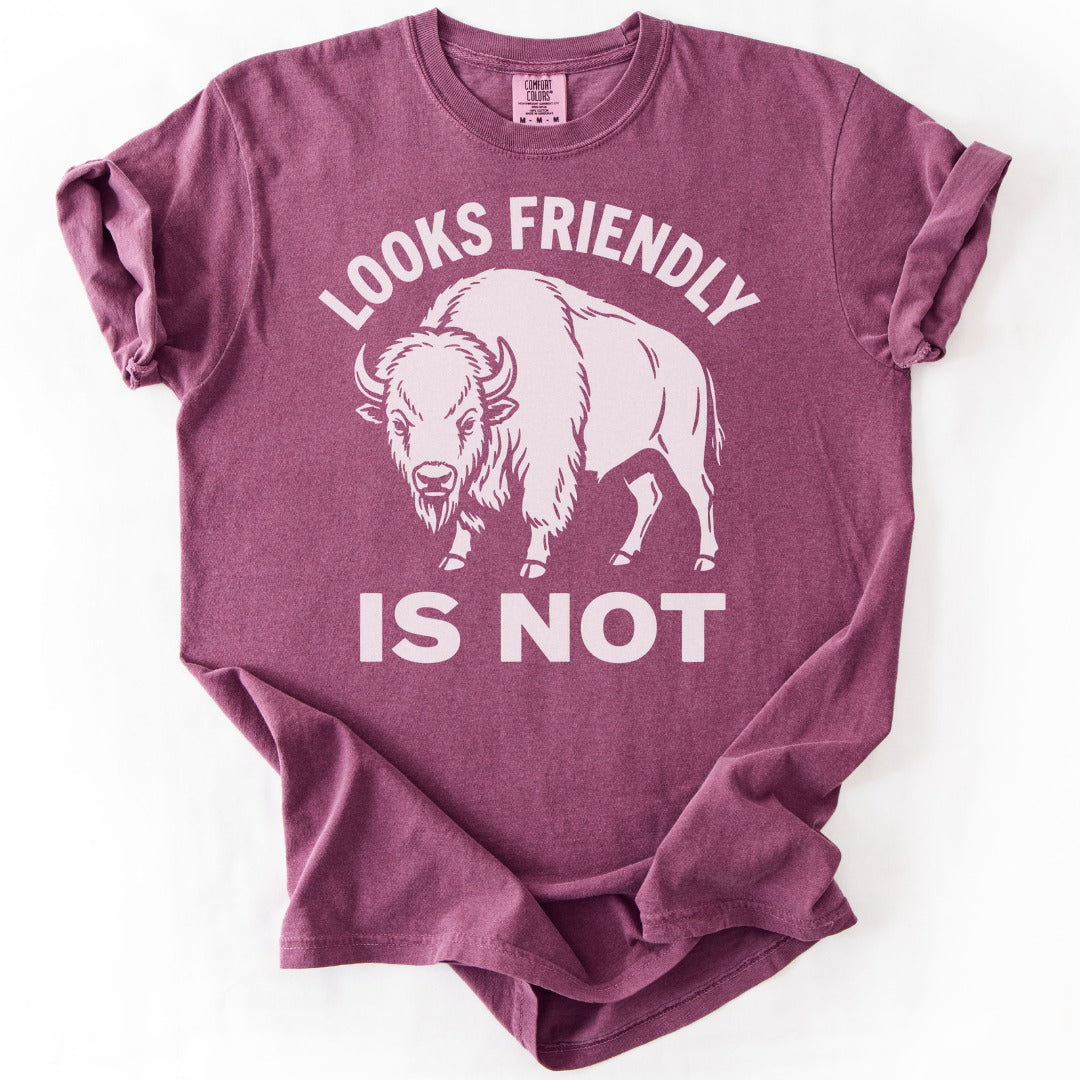 Looks Friendly Is Not Premium - Berry