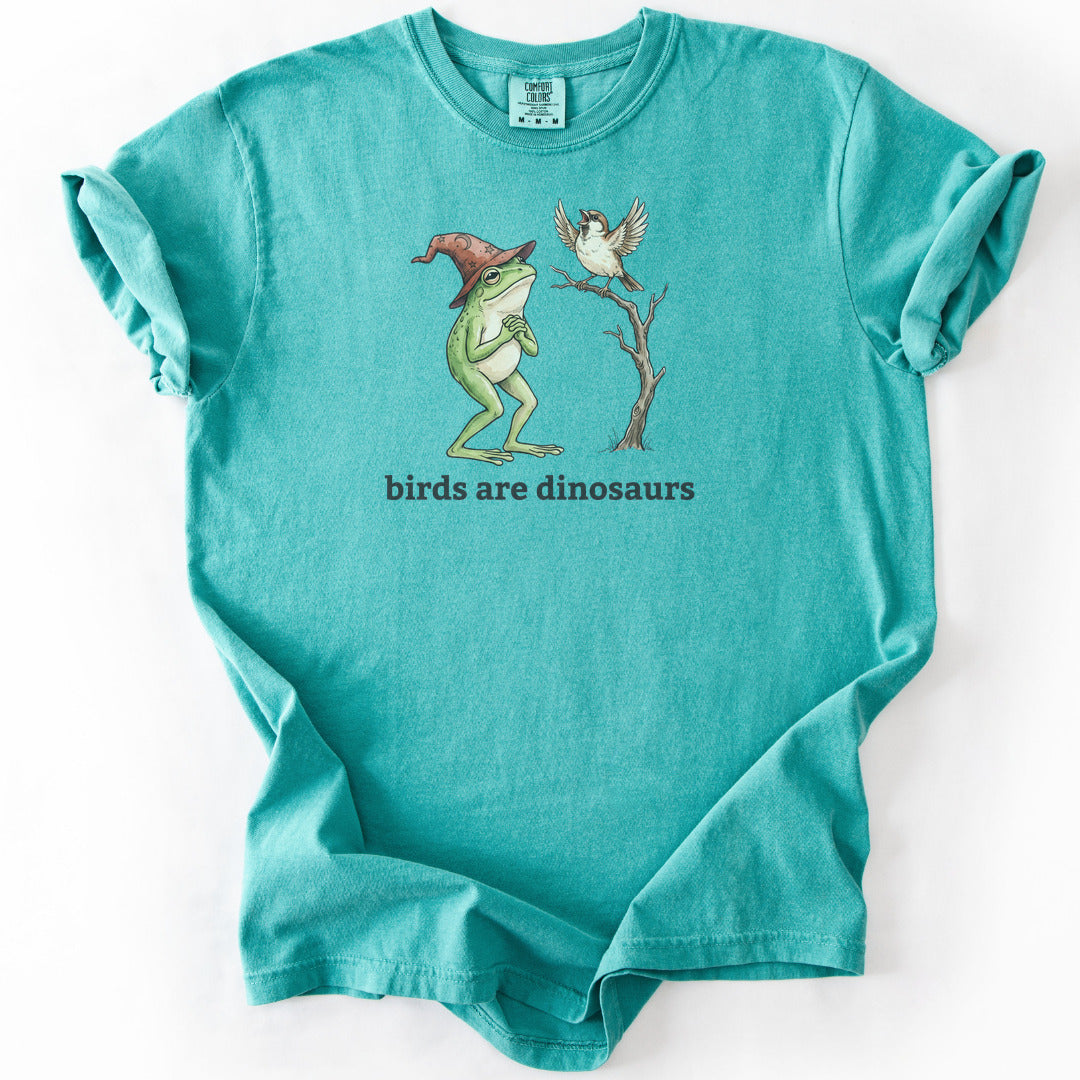 Birds Are Dinosaurs Premium - Seafoam