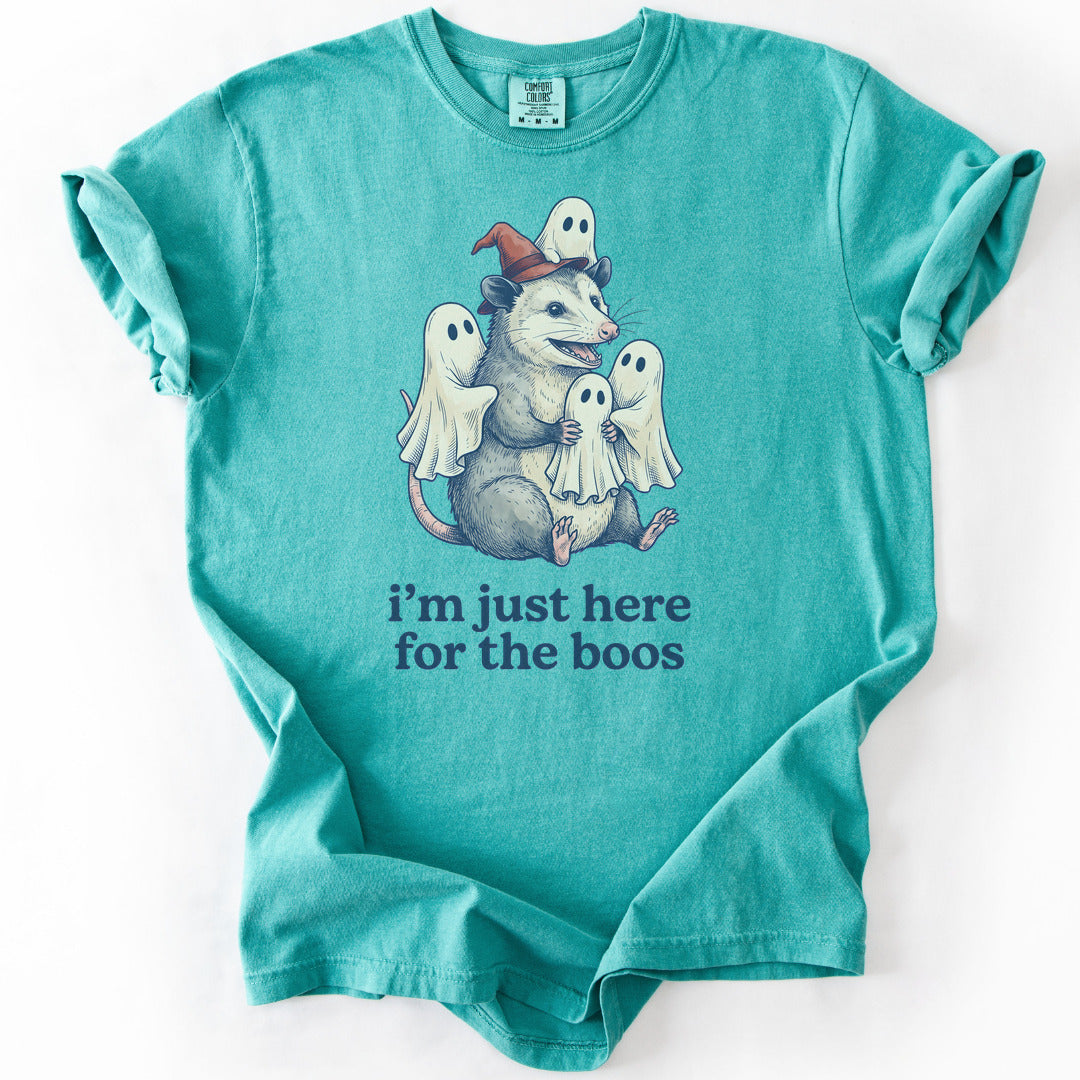 I'm Just Here for the Boos Premium - Seafoam