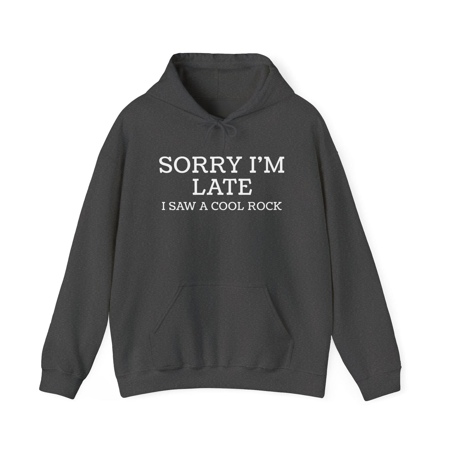 Hoodie Dark Heather / S Sorry Rocks Hoodie