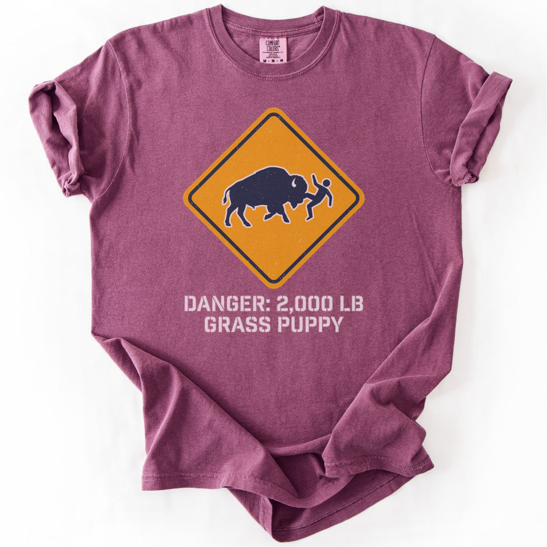Buffalo Shenanigans Premium