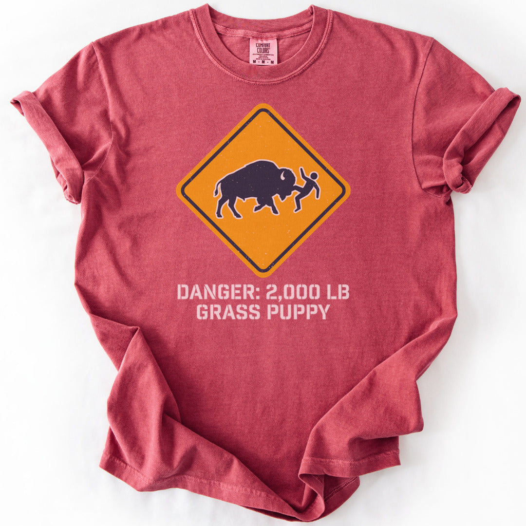 Buffalo Shenanigans Premium