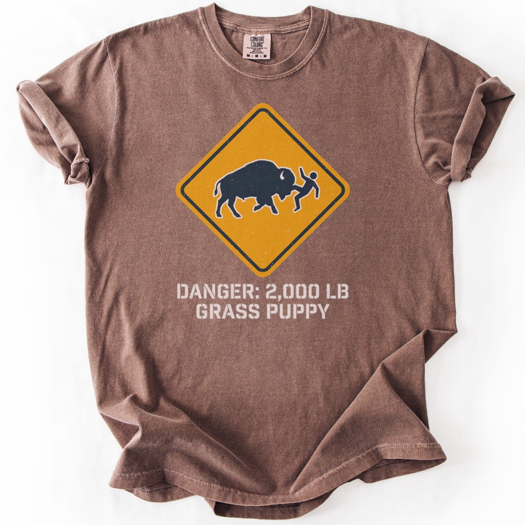 Buffalo Shenanigans Premium