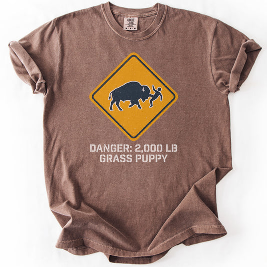 Buffalo Shenanigans Premium