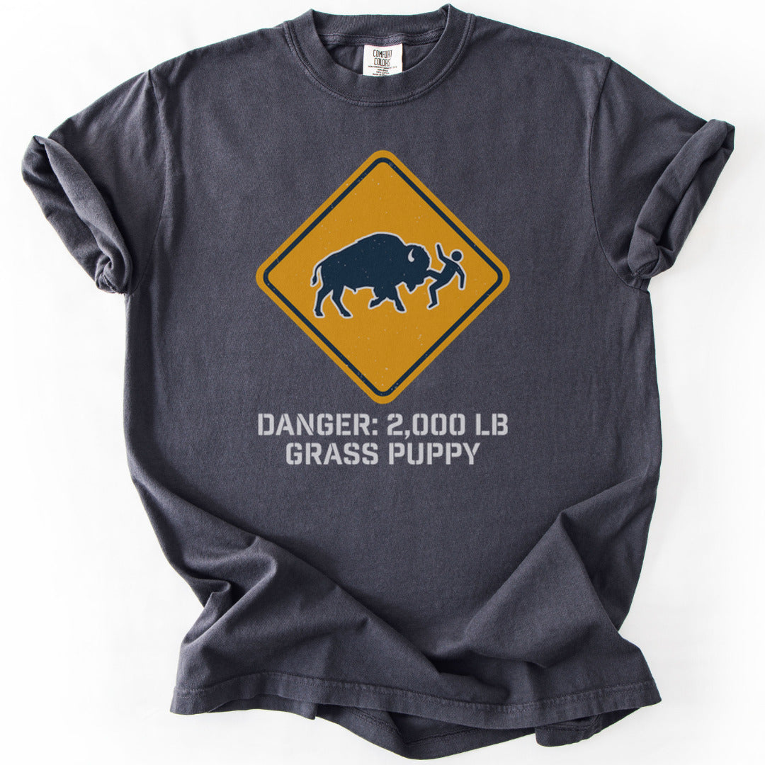 Buffalo Shenanigans Premium