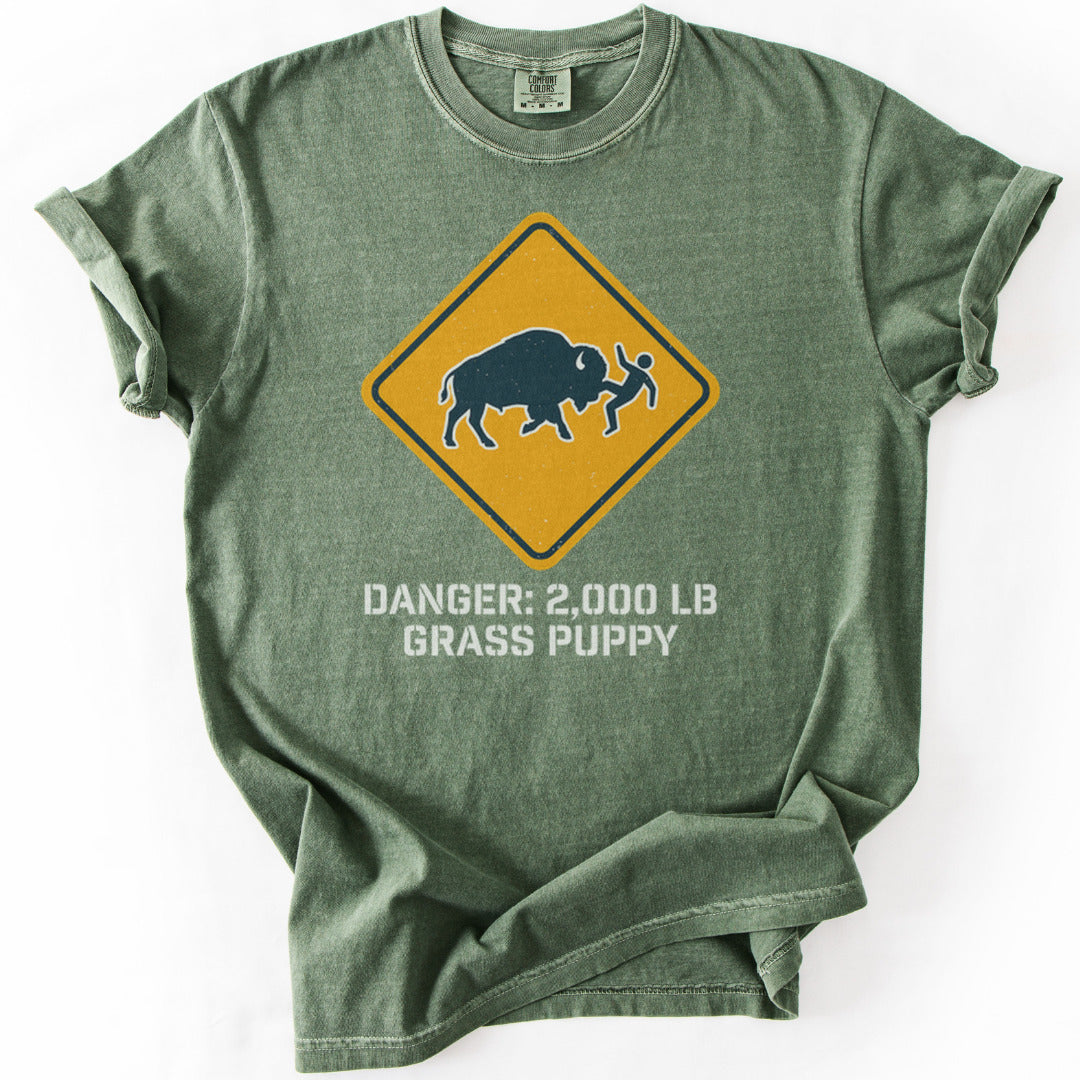 Buffalo Shenanigans Premium