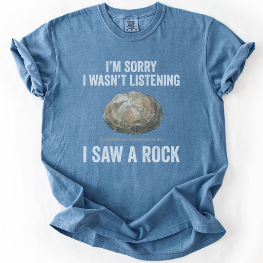 Distracted Rock Specimen Premium