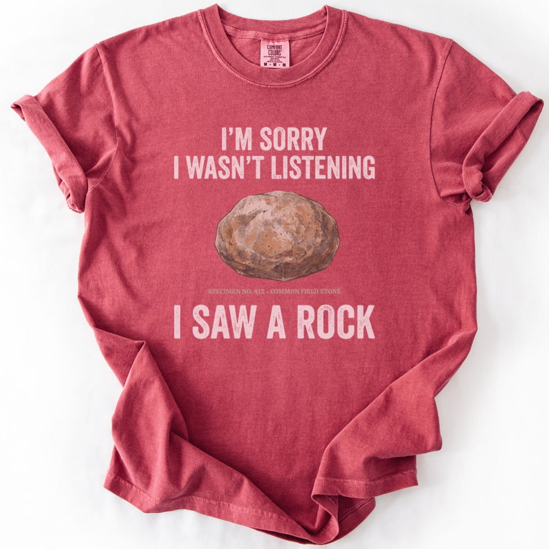 Distracted Rock Specimen Premium