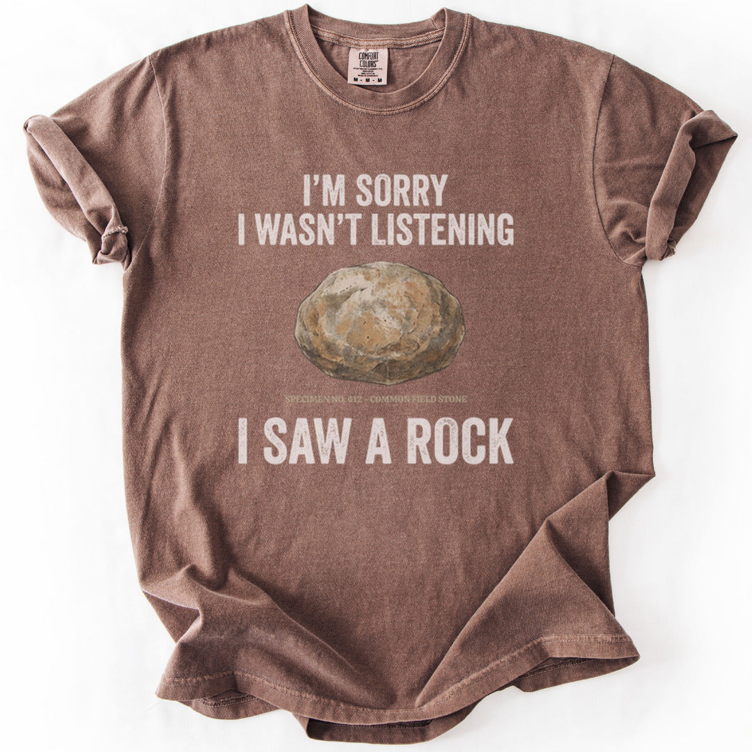Distracted Rock Specimen Premium