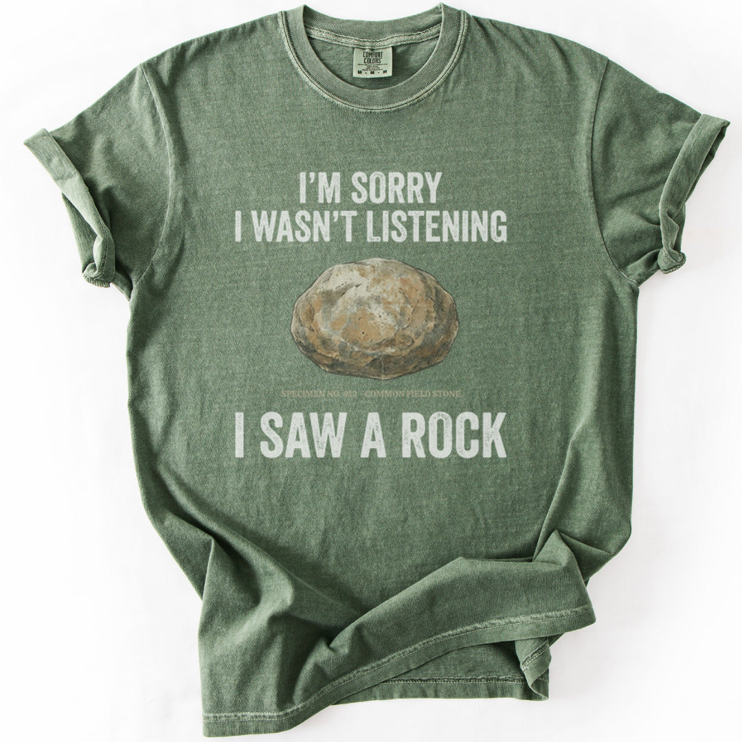 Distracted Rock Specimen Premium