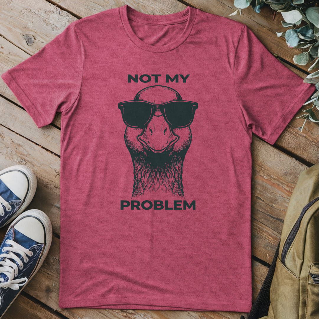 Not My Problem