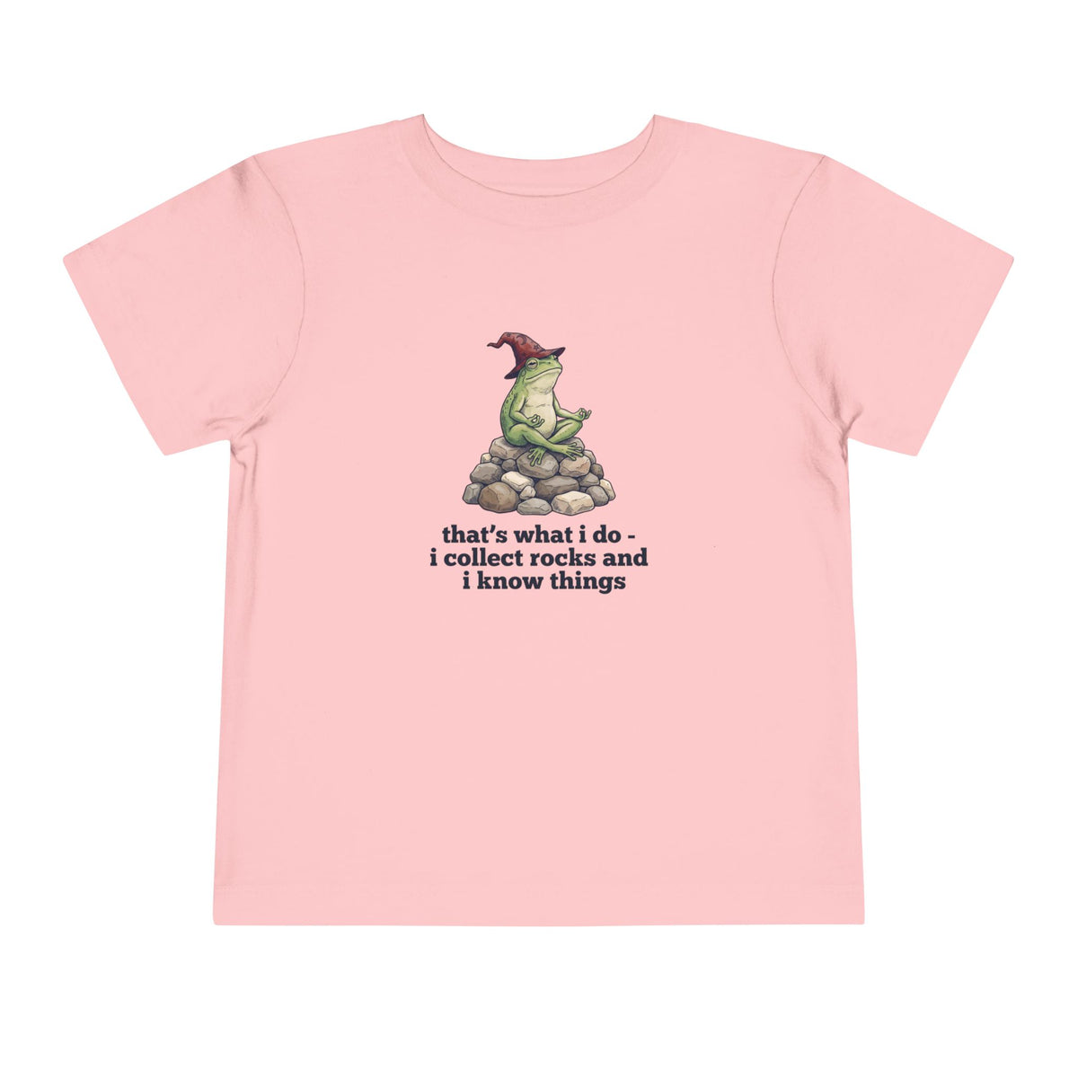 I Collect Rocks and I Know Things Toddler T-Shirt