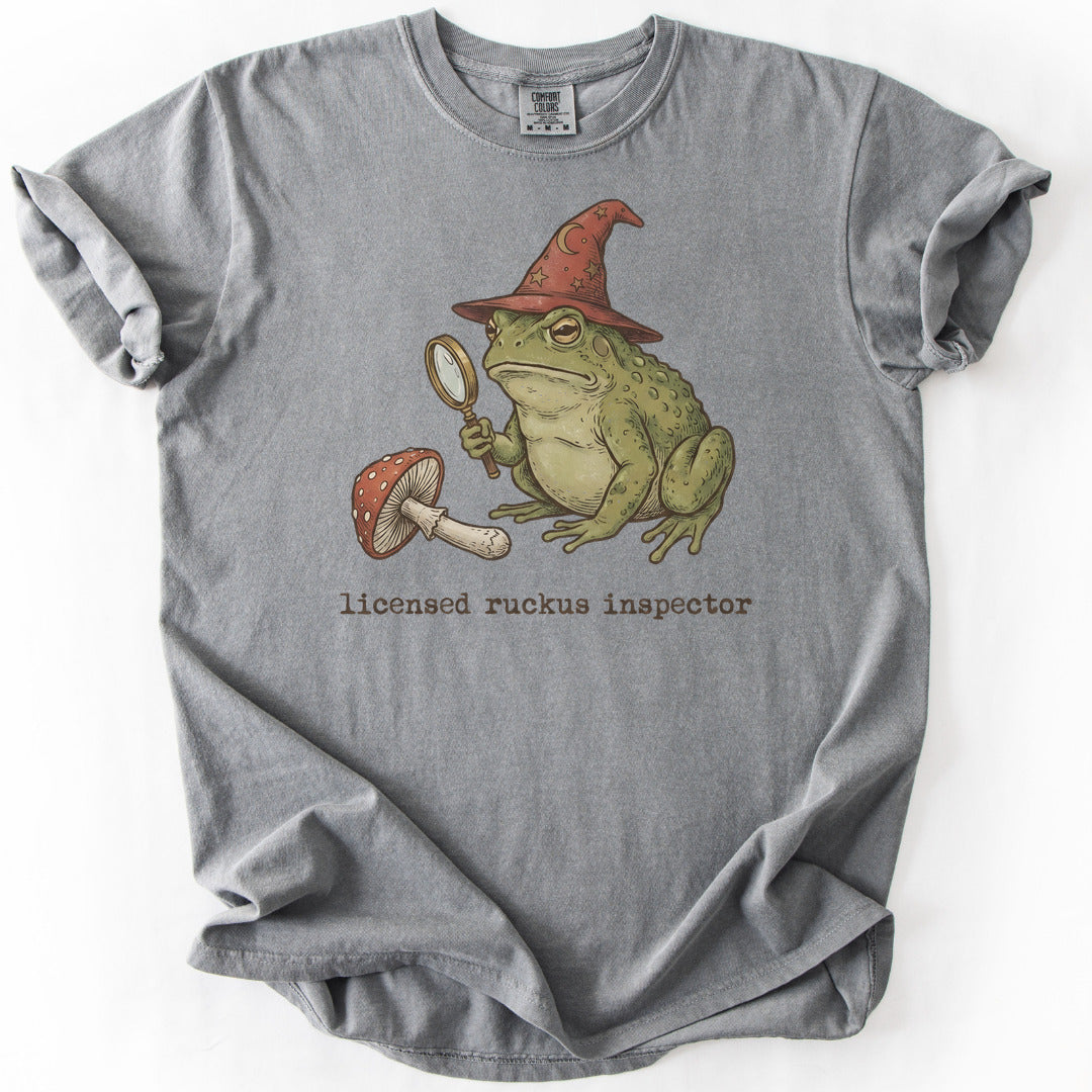 Licensed Ruckus Inspector II Premium - Grey