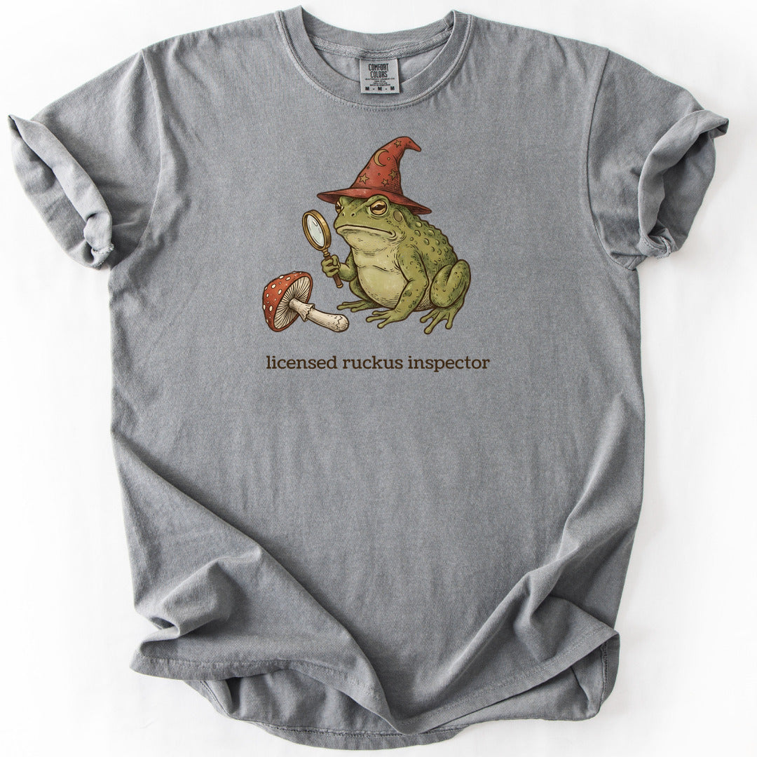 Licensed Ruckus Inspector II Premium - Grey
