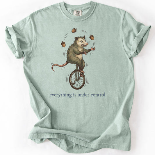 Everything is Under Control Premium - Bay