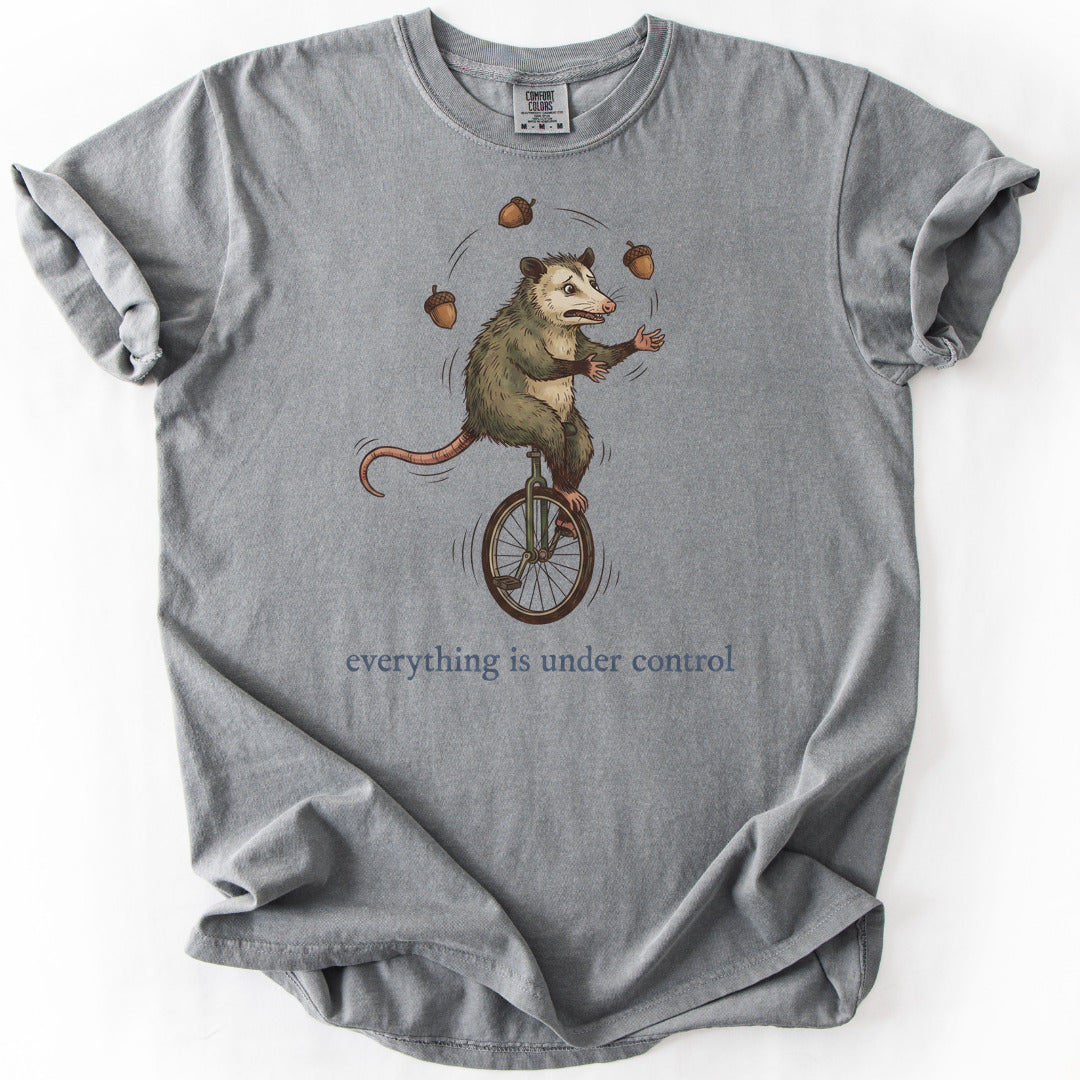 Everything is Under Control Premium - Grey