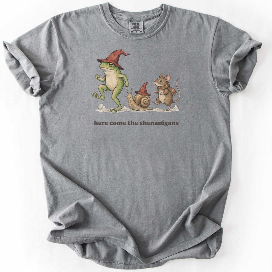 Here Come the Shenanigans Premium - Grey
