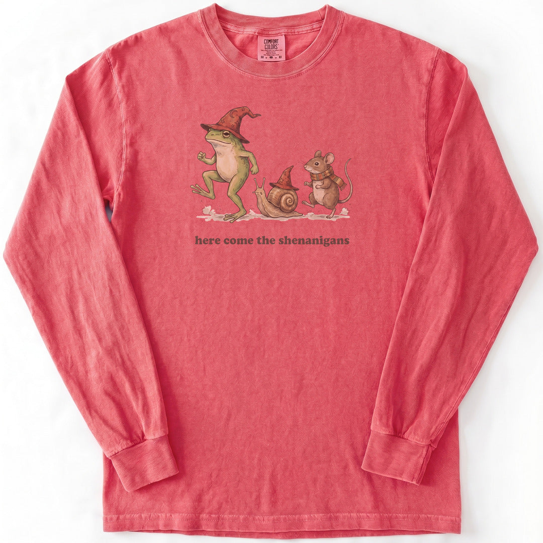 Here Come the Shenanigans Premium LS - Comfort Colors garment-dyed long sleeve in Watermelon from Summit Soul