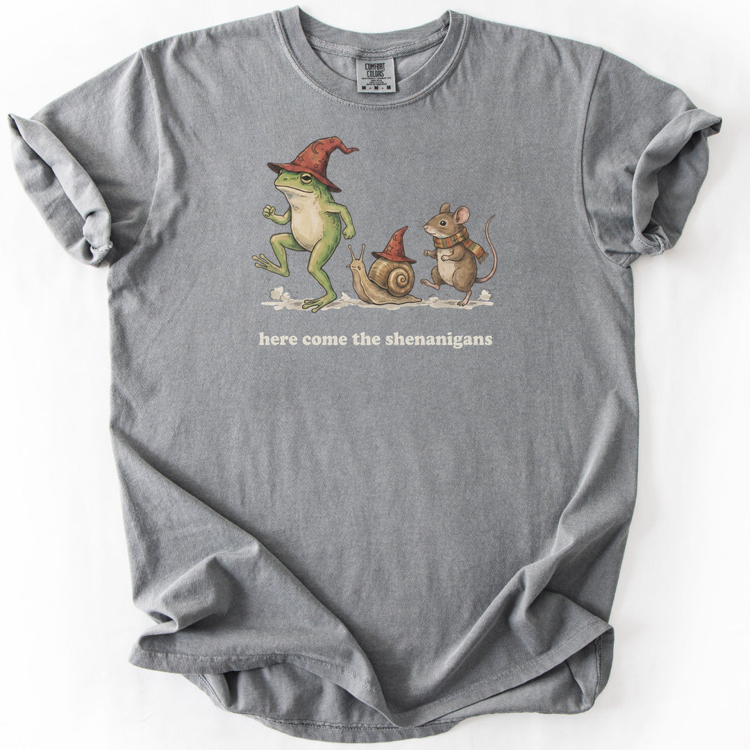 Here Come the Shenanigans Premium - Grey