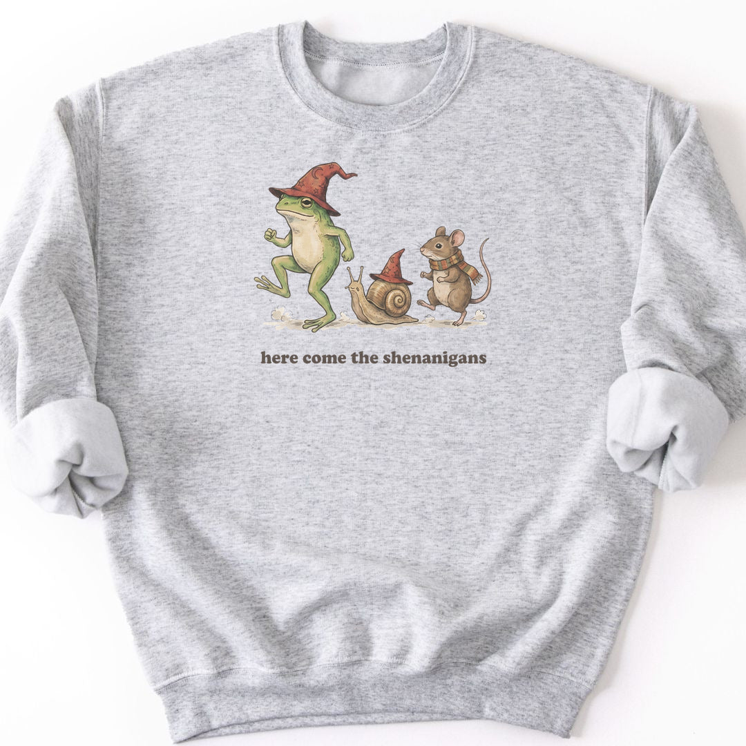 Here Come the Shenanigans Sweatshirt - Ash