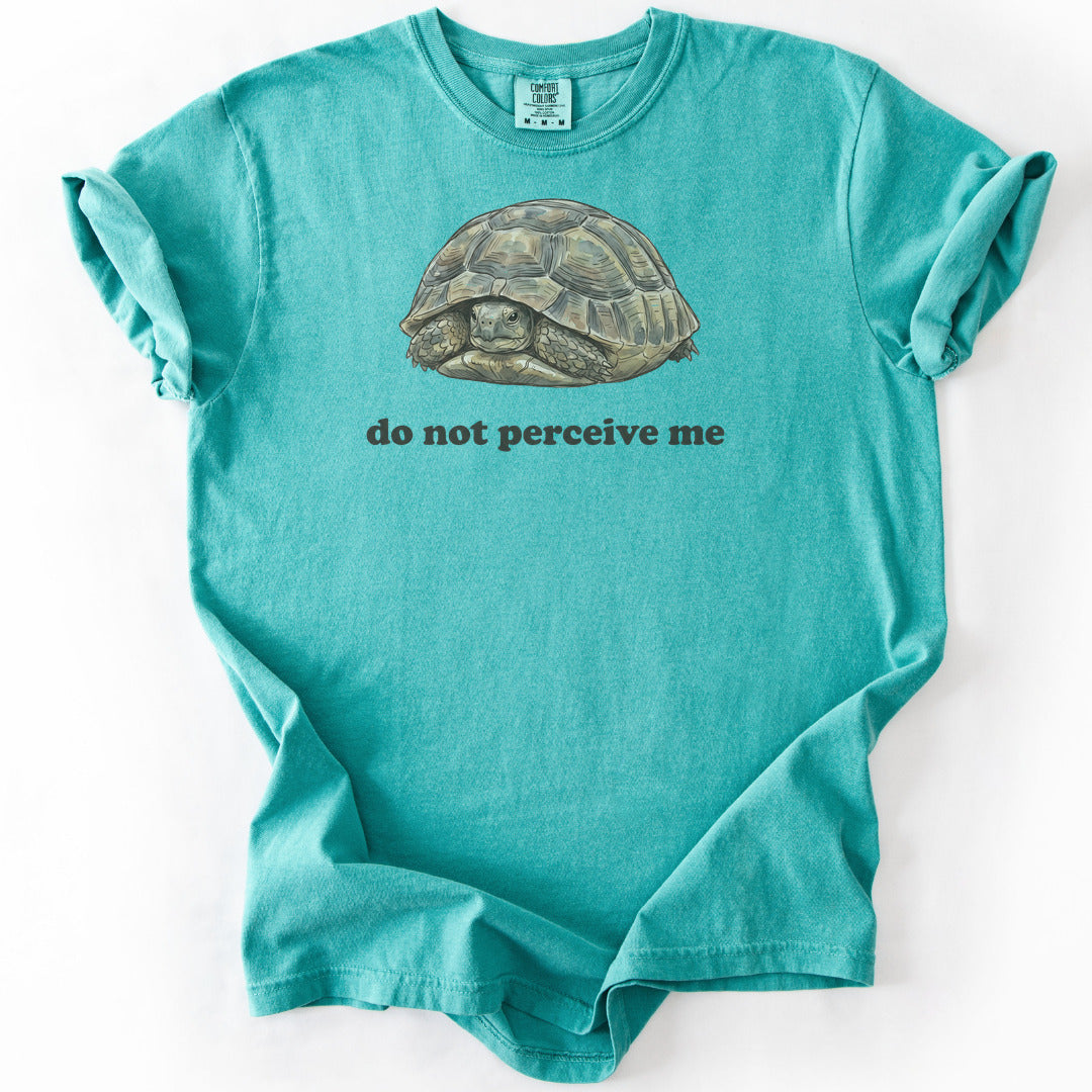 Do Not Perceive Me Premium - Seafoam