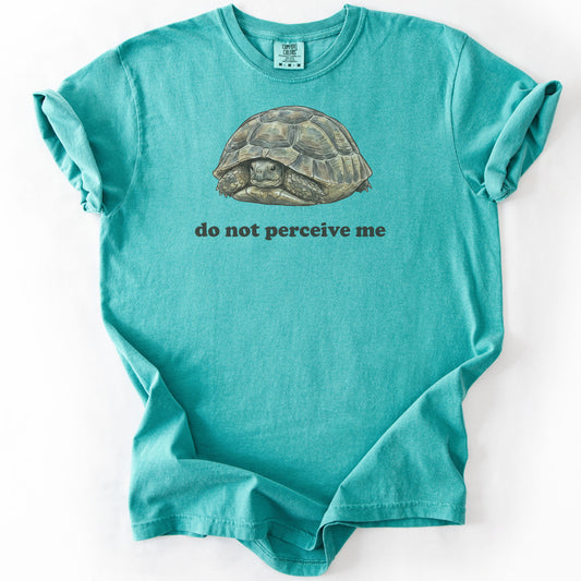 Do Not Perceive Me Premium - Seafoam