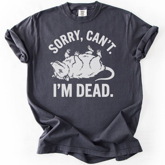 Sorry, Can't. I'm Dead. Premium - Graphite