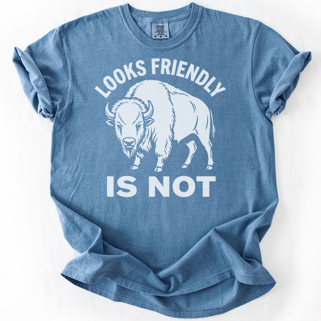 Looks Friendly Is Not Premium - Blue Jean