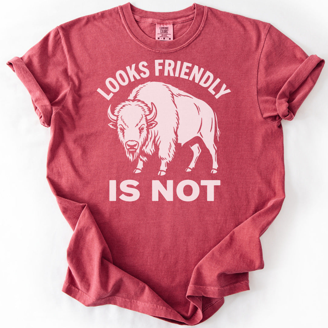 Looks Friendly Is Not Premium - Crimson