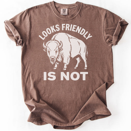 Looks Friendly Is Not Premium - Espresso