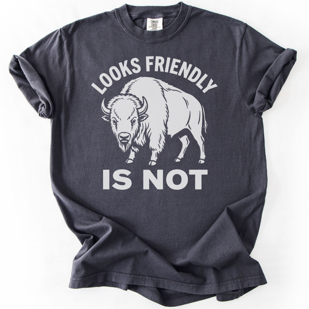 Looks Friendly Is Not Premium - Graphite