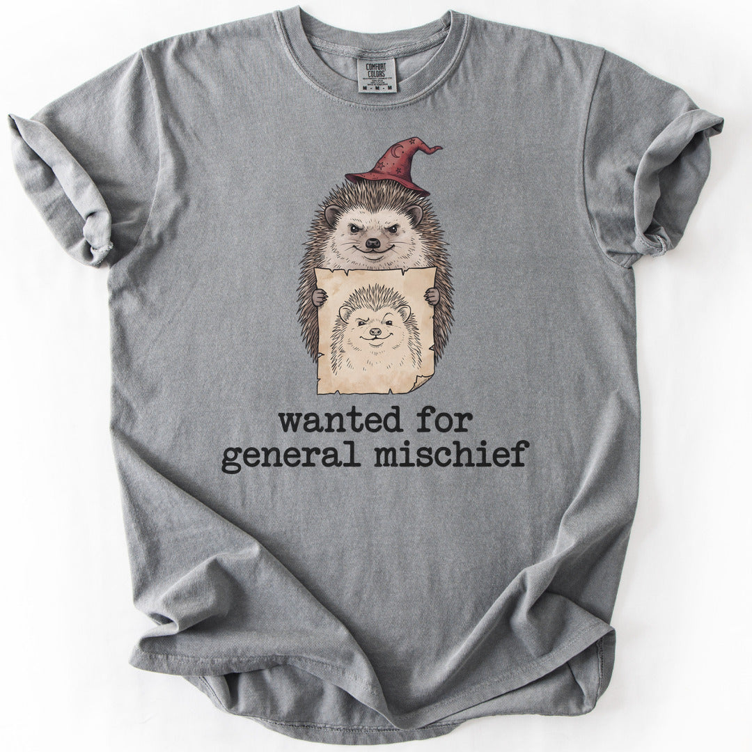 Known Suspect Premium - Grey