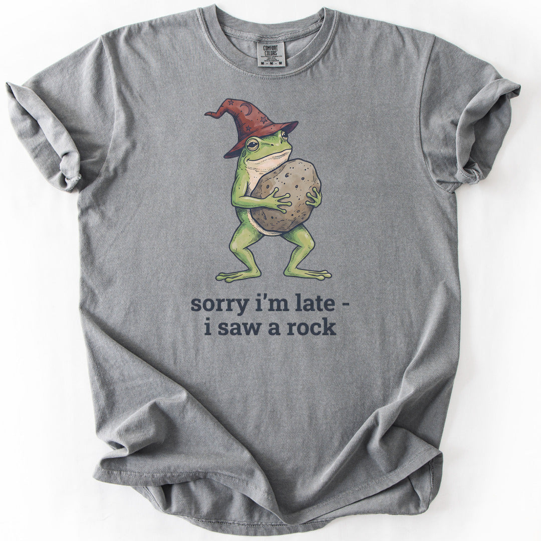 Sorry I'm Late I Saw a Rock Premium - Grey