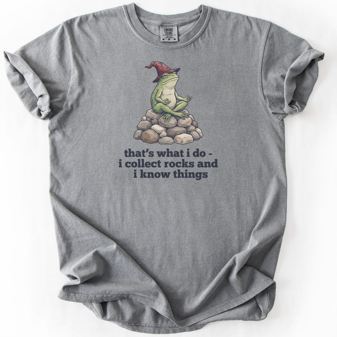 I Collect Rocks and I Know Things Premium - Grey
