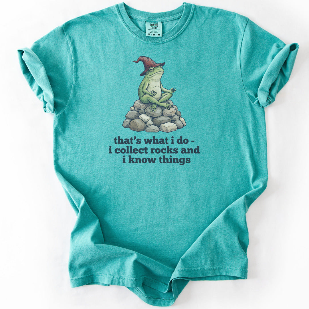 I Collect Rocks and I Know Things Premium - Seafoam