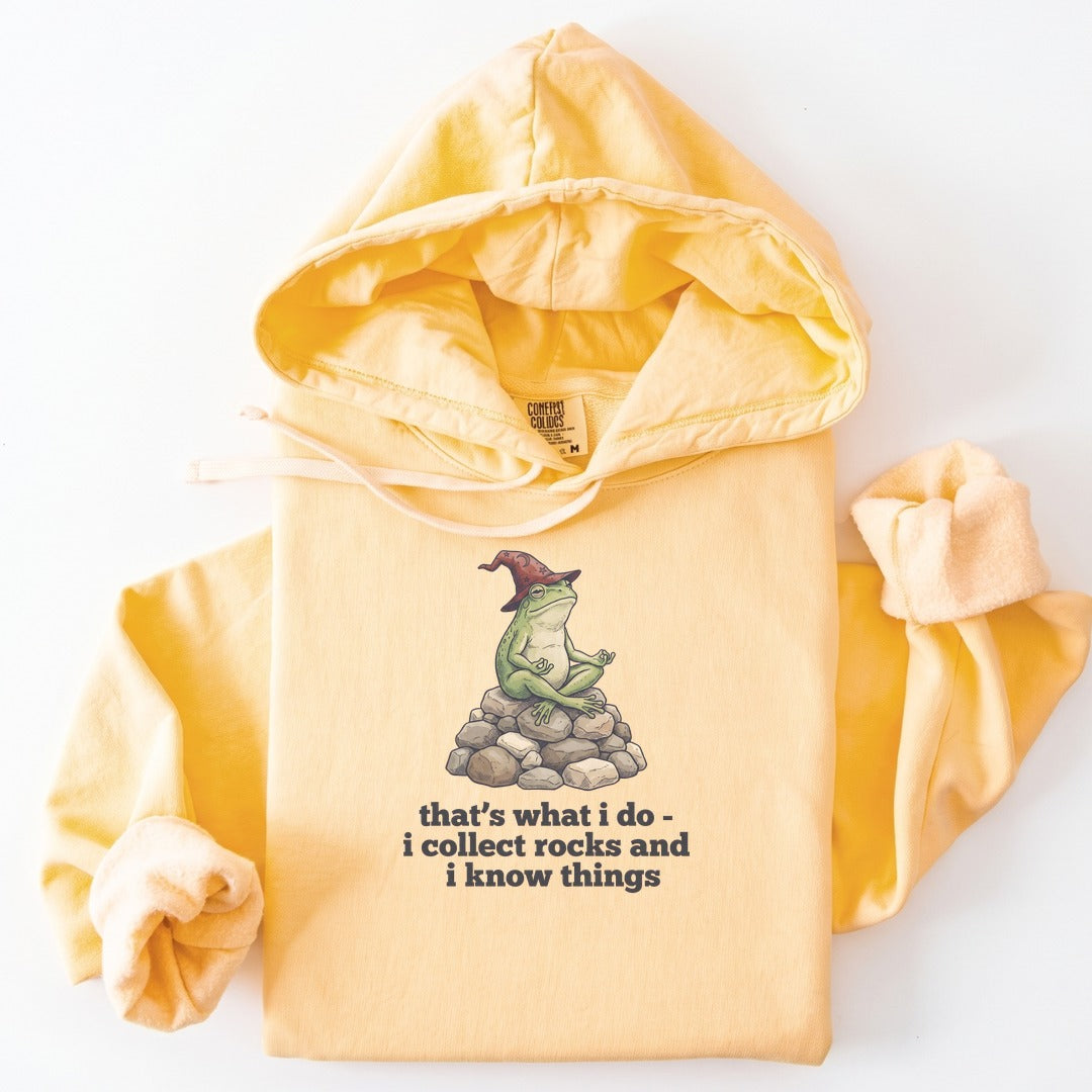 Hoodie Butter / S I Collect Rocks and I Know Things Premium Hoodie
