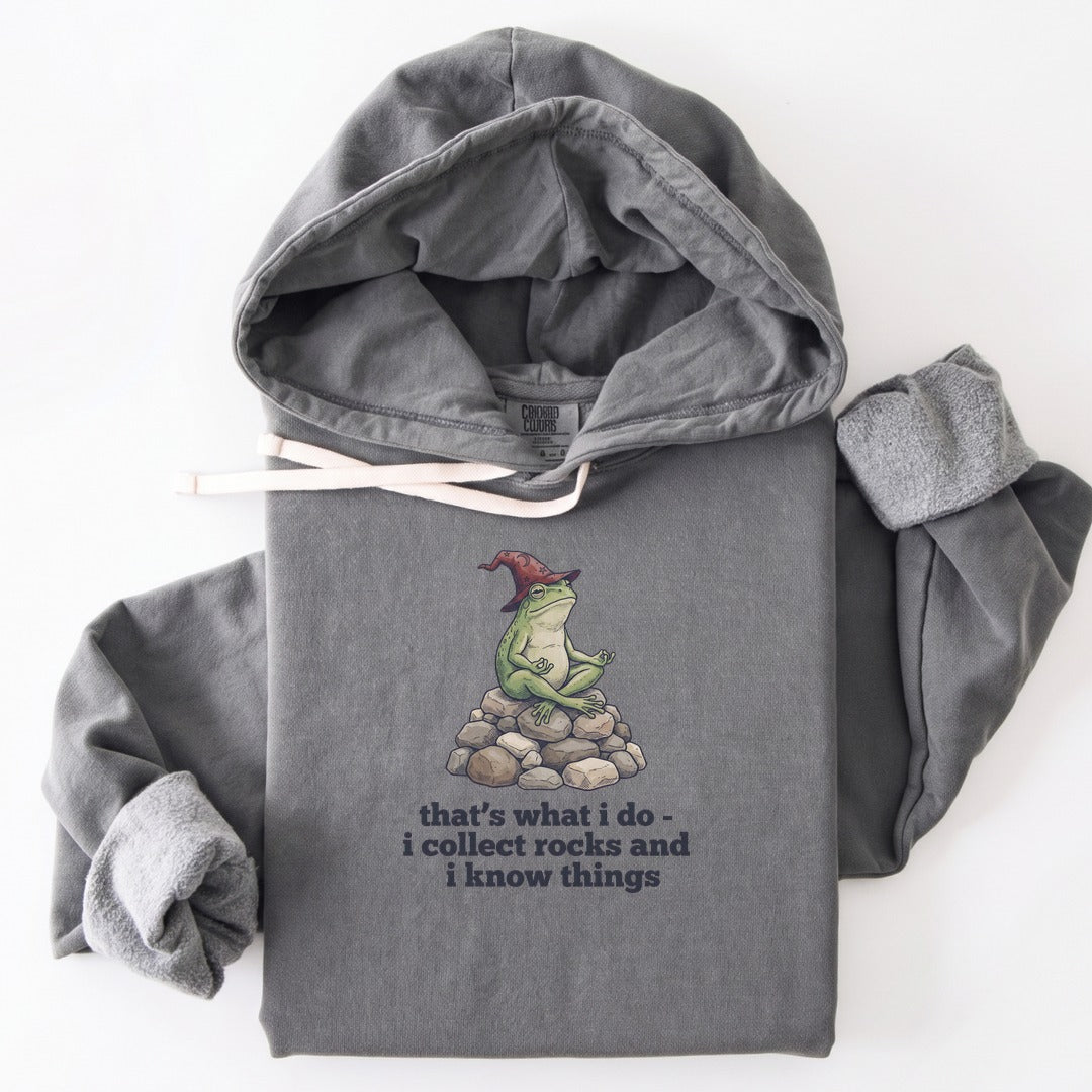 Hoodie Grey / S I Collect Rocks and I Know Things Premium Hoodie