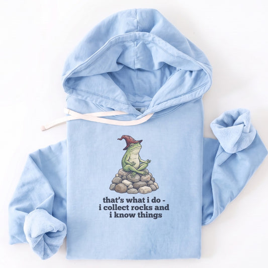 Hoodie Hydrangea / S I Collect Rocks and I Know Things Premium Hoodie