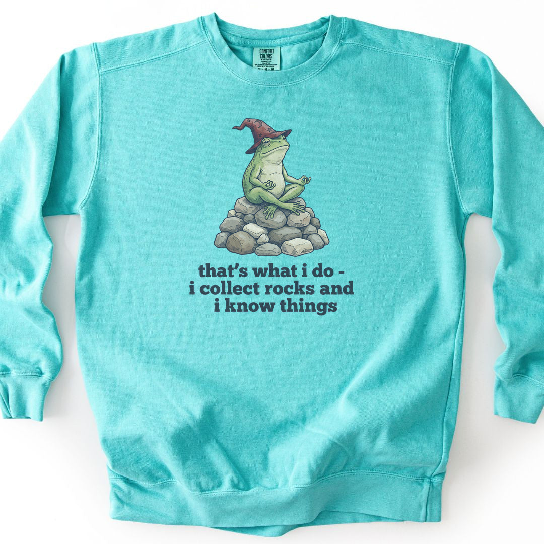 I Collect Rocks and I Know Things Premium Sweatshirt - Chalky Mint
