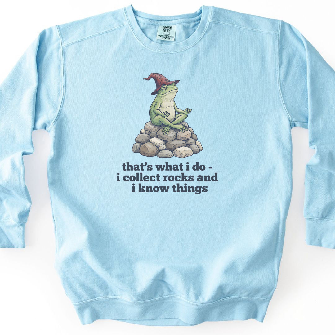 I Collect Rocks and I Know Things Premium Sweatshirt - Chambray