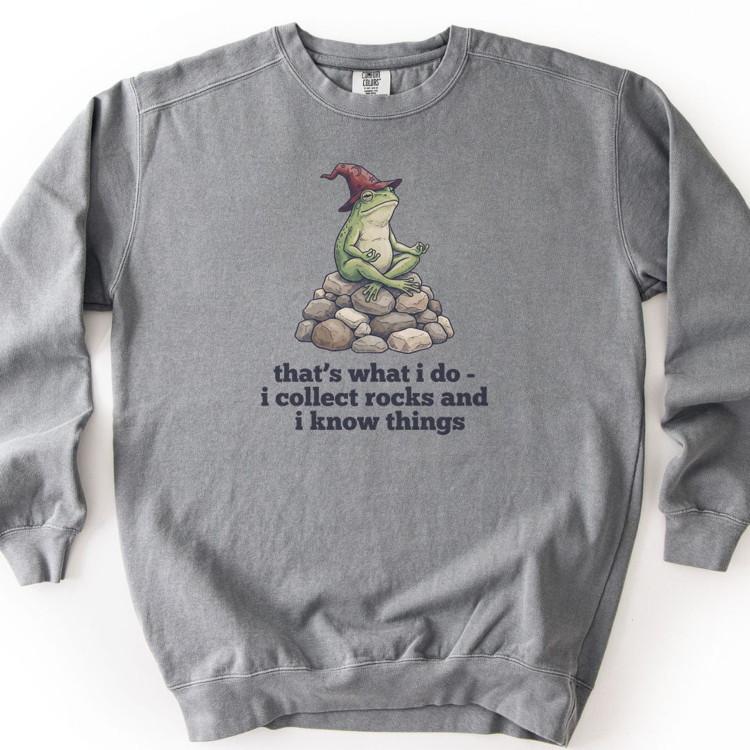 I Collect Rocks and I Know Things Premium Sweatshirt - Grey