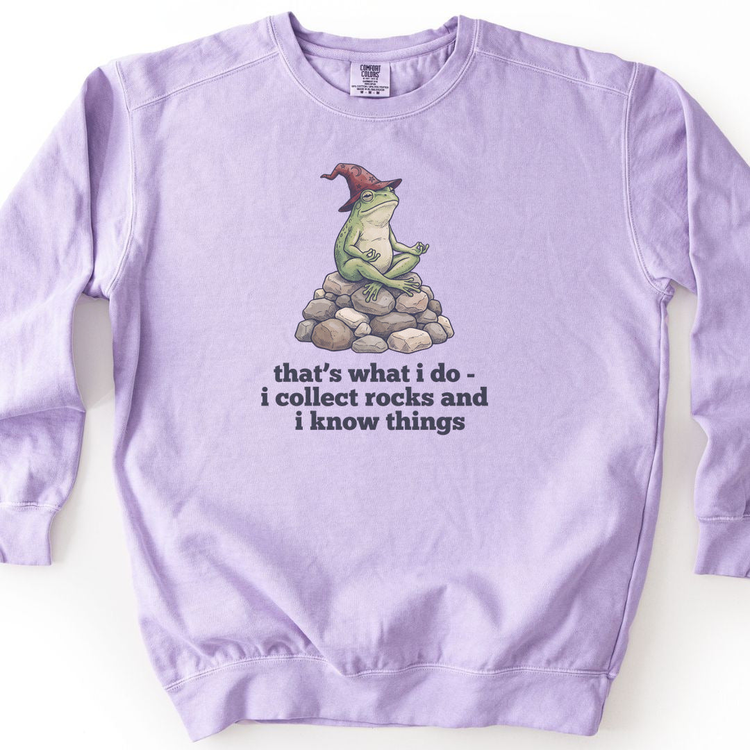I Collect Rocks and I Know Things Premium Sweatshirt - Orchid
