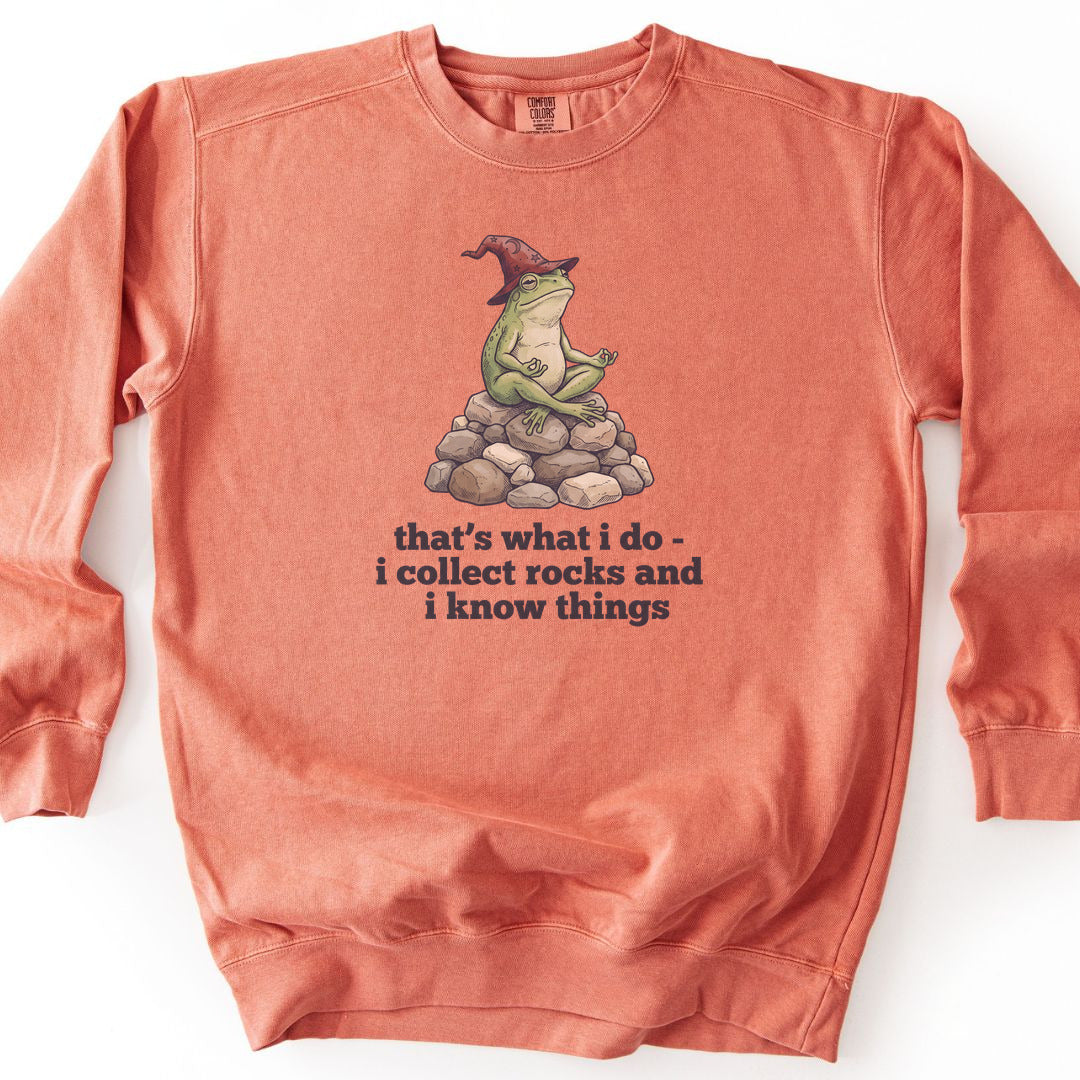 I Collect Rocks and I Know Things Premium Sweatshirt - Terracotta