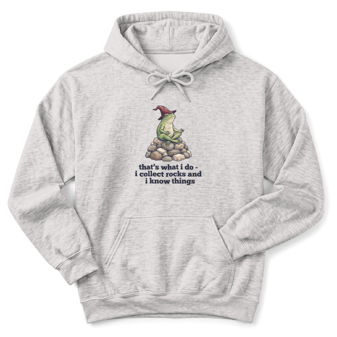 Hoodie Ash / S I Collect Rocks and I Know Things Hoodie