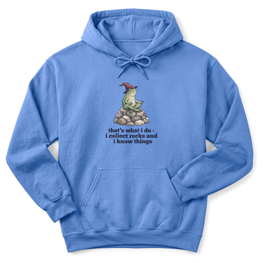 Hoodie Carolina Blue / S I Collect Rocks and I Know Things Hoodie