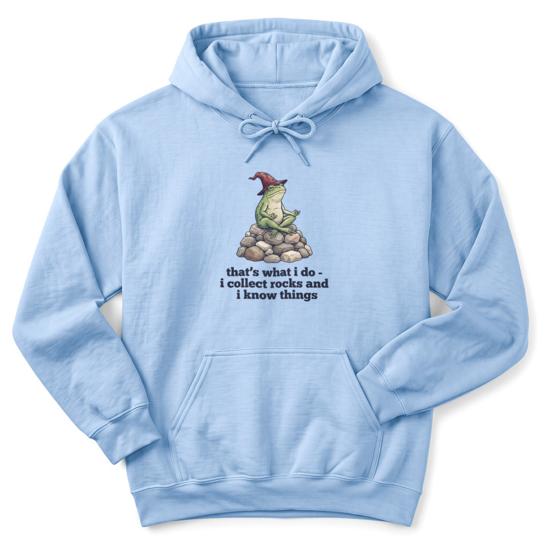 Hoodie Light Blue / S I Collect Rocks and I Know Things Hoodie