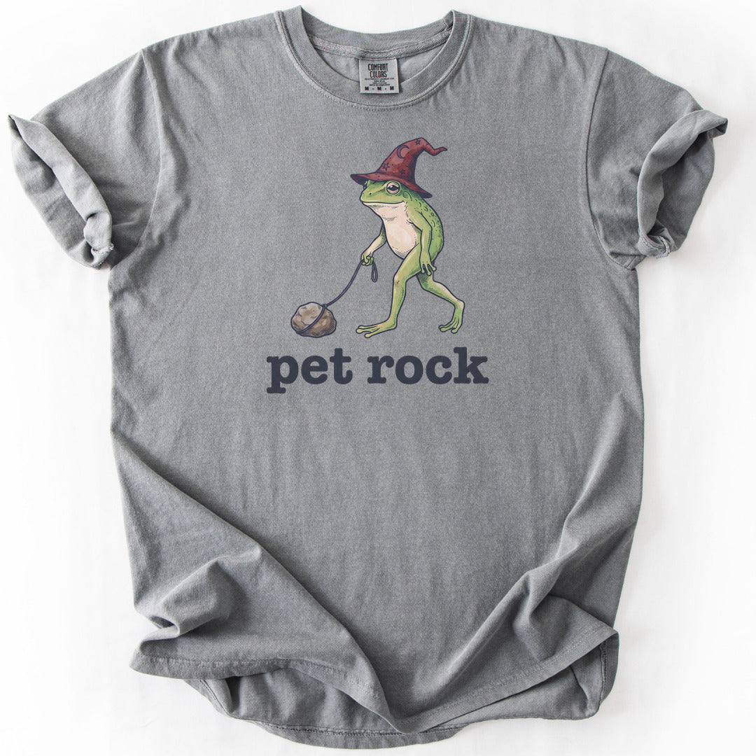 Pet Rock Premium - Grey