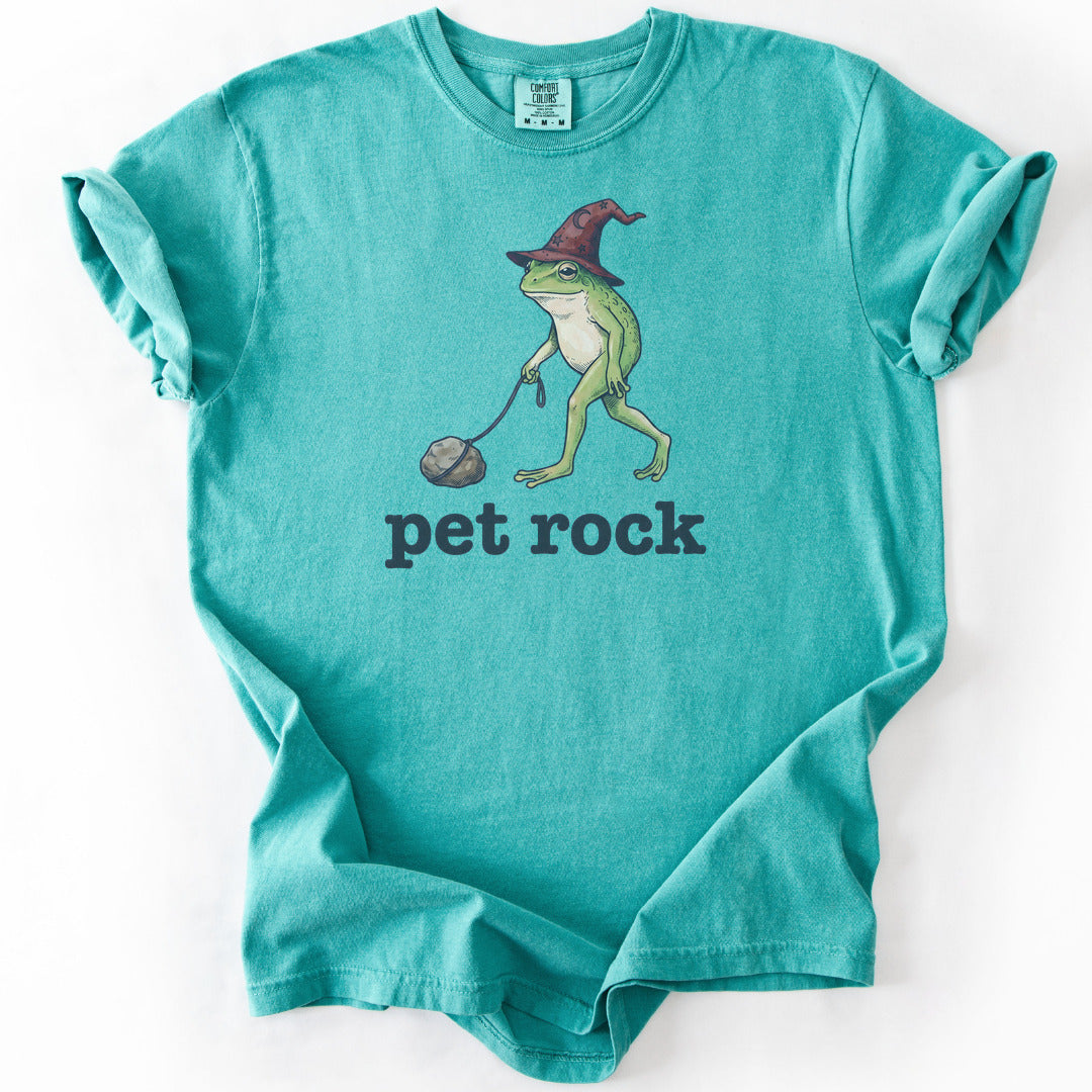 Pet Rock Premium - Seafoam
